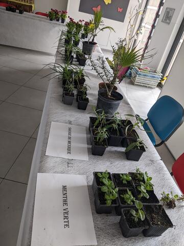serre-cavalier-ehpad-troc-plantes-mars-2025